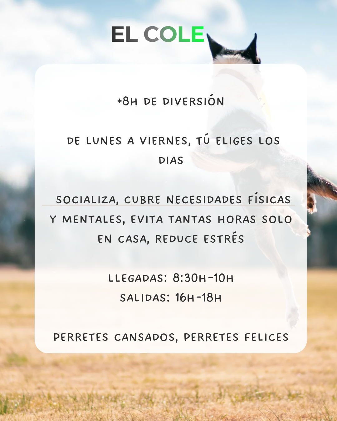 ¡VEN A PROBAR UN DÍA GRATIS, VERÁS LOS RESULTADOS ESE MISMO DÍA!